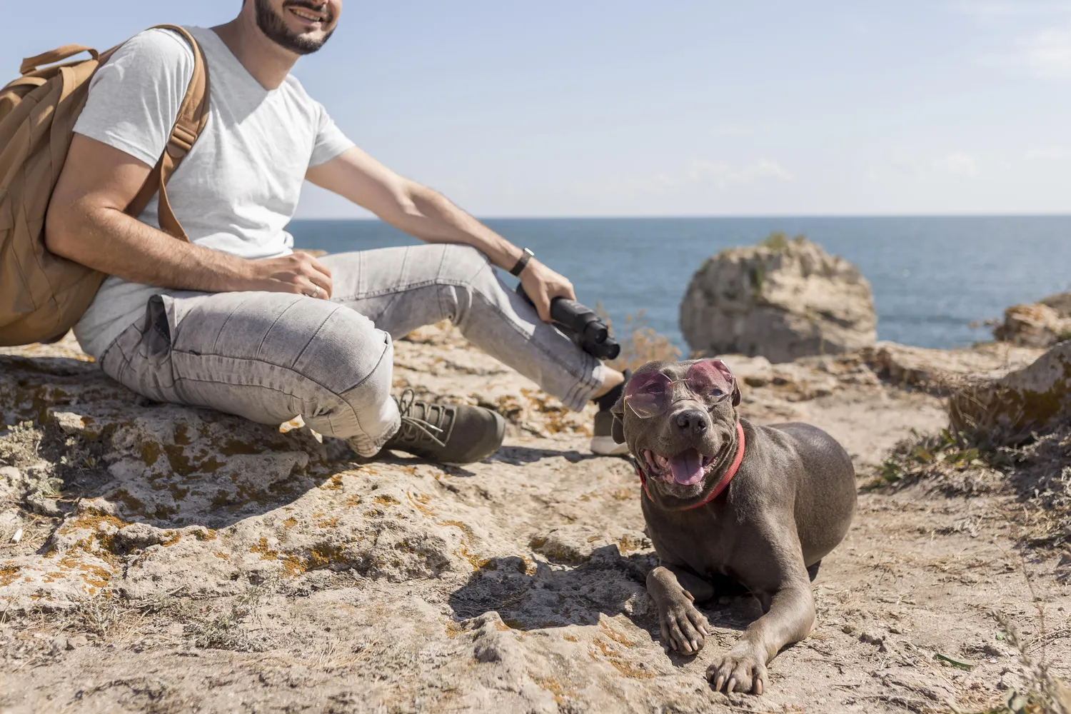 Urlaub mit Hund an der Ostsee: Die besten Hotels für Ihren Hund