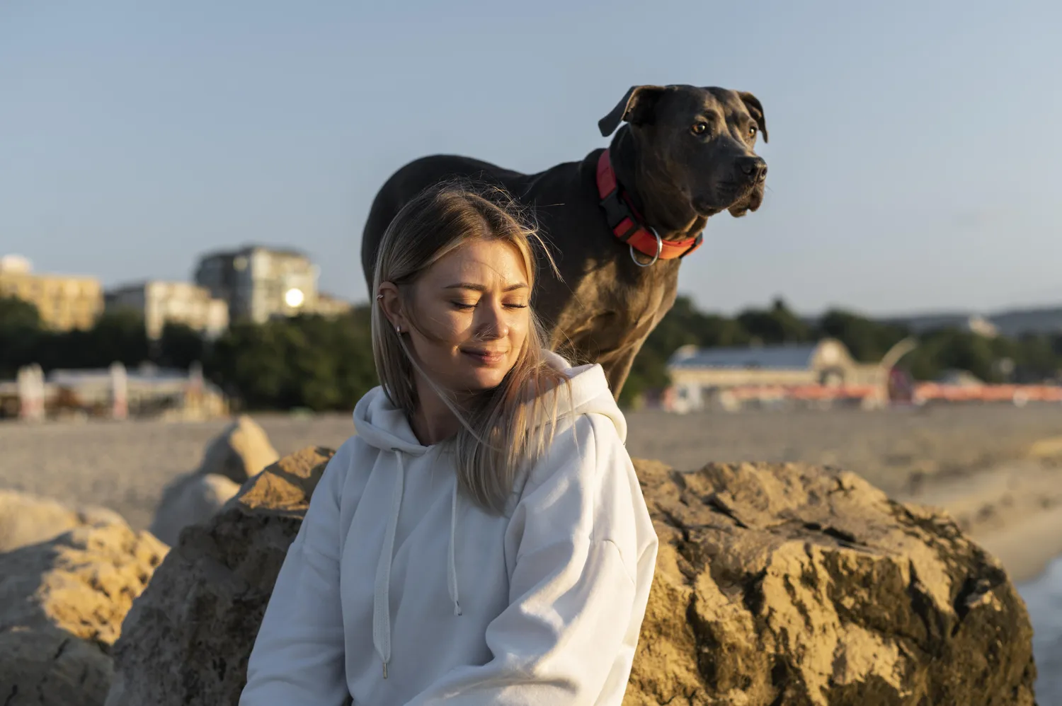 Urlaub mit Hund an der Ostsee: Die besten Hotels für Ihren Hund